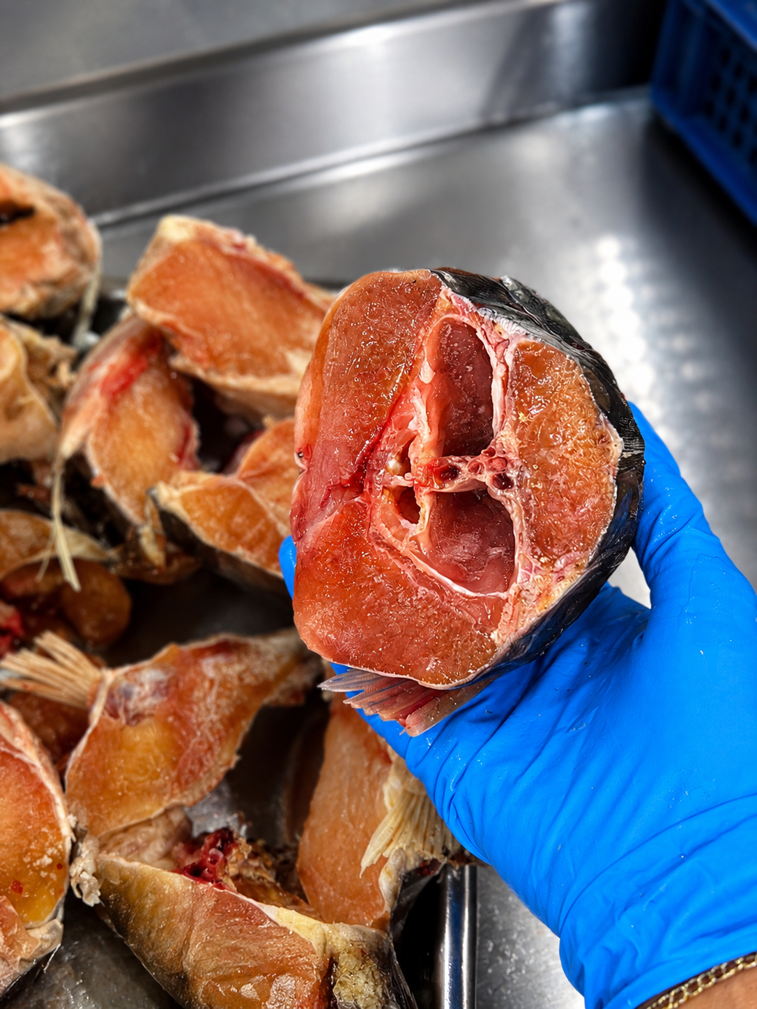 Cuello de pescado