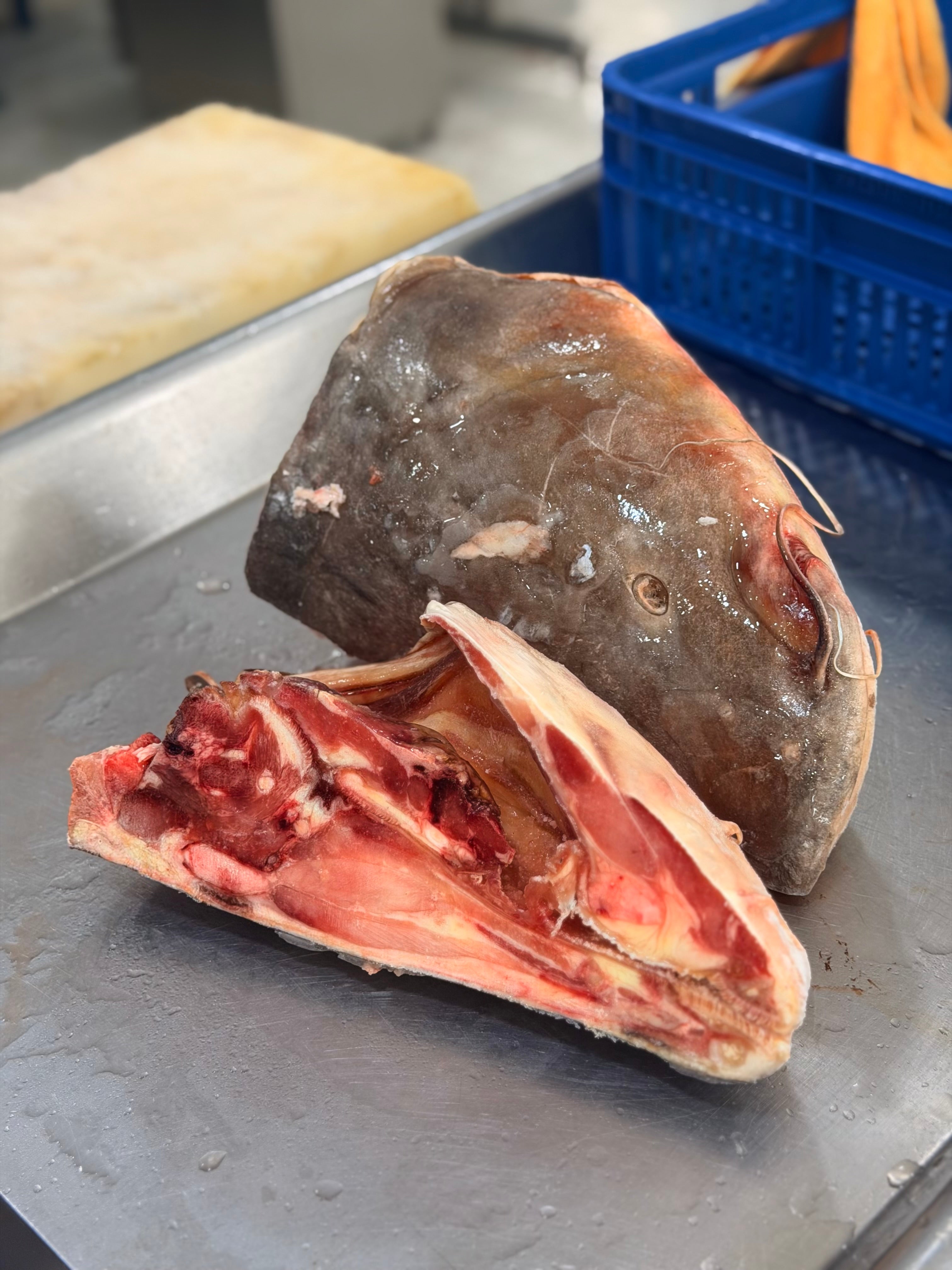 Cabeza de pescado